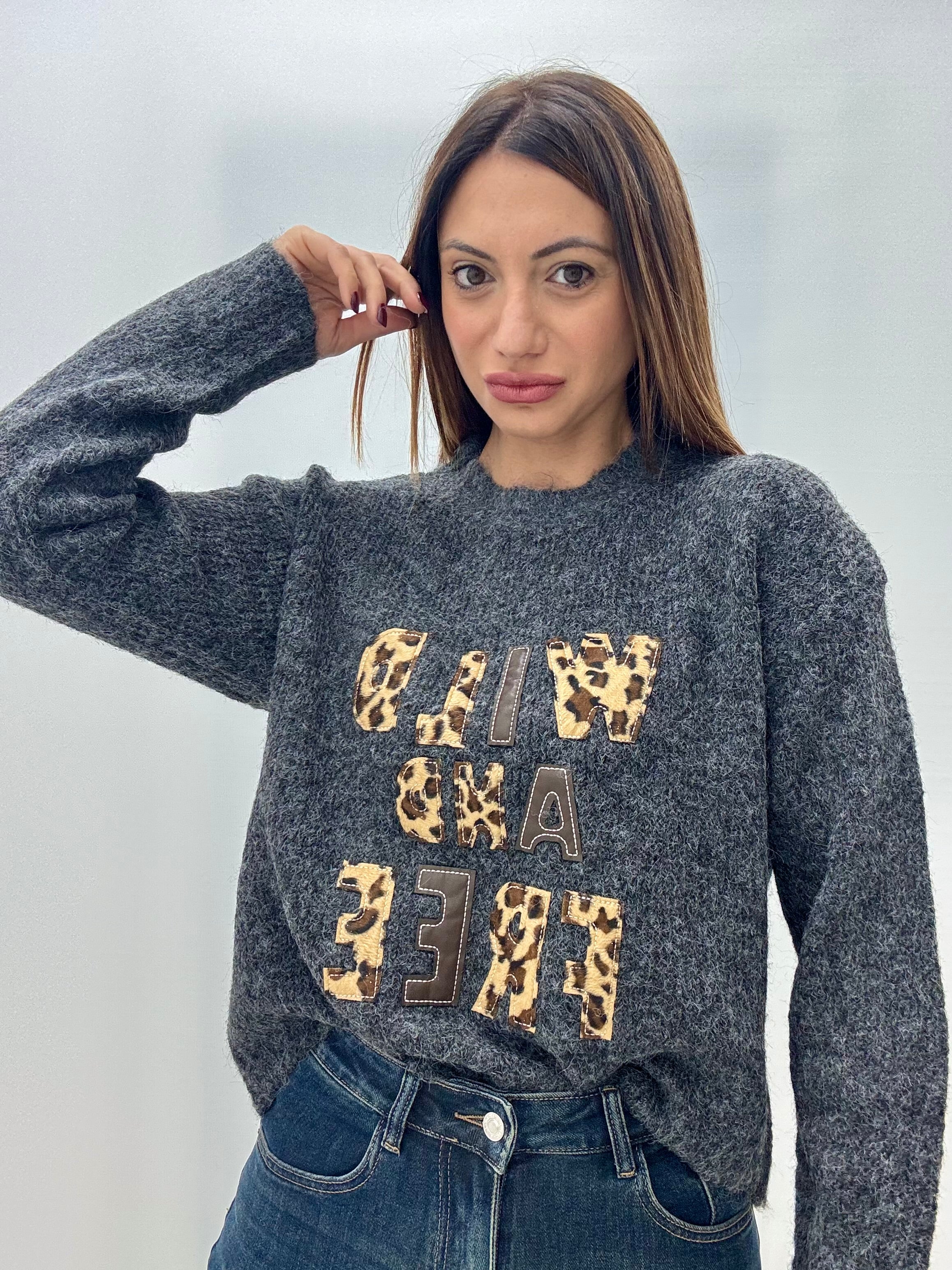 Maglione Wild Grigio